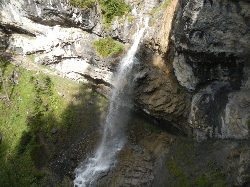 DSCN4169
