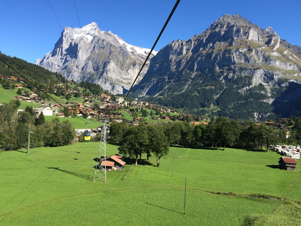 IMG_1141