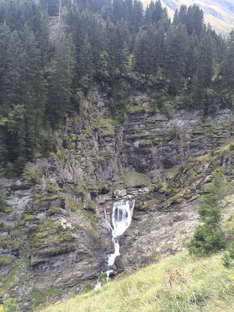 IMG_1181