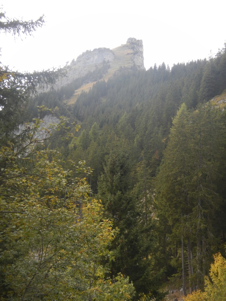DSCN4762