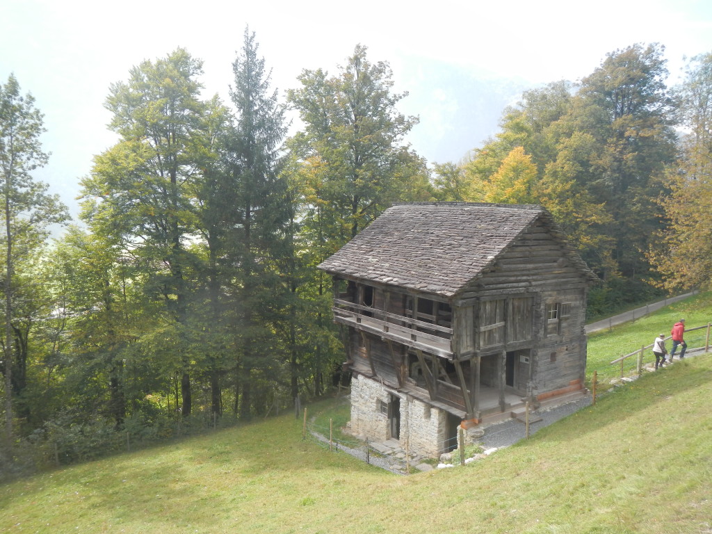 DSCN4780